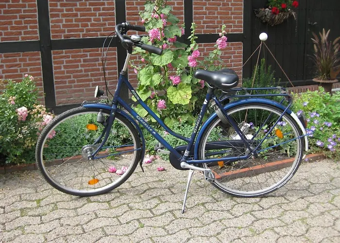 Kucks-ferienwohnung Apartamento Wiefelstede